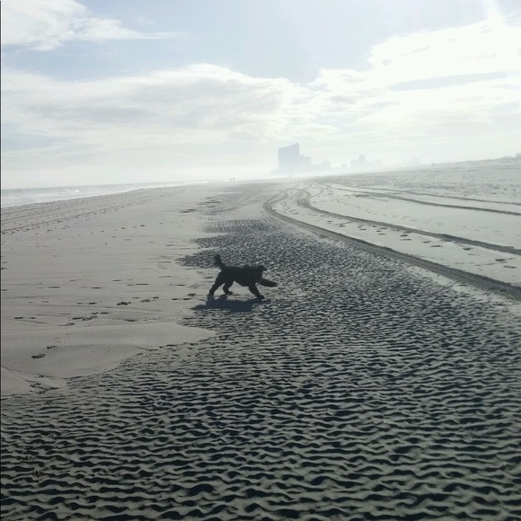 Meet your Posher, Cary - Picture 1 of 1